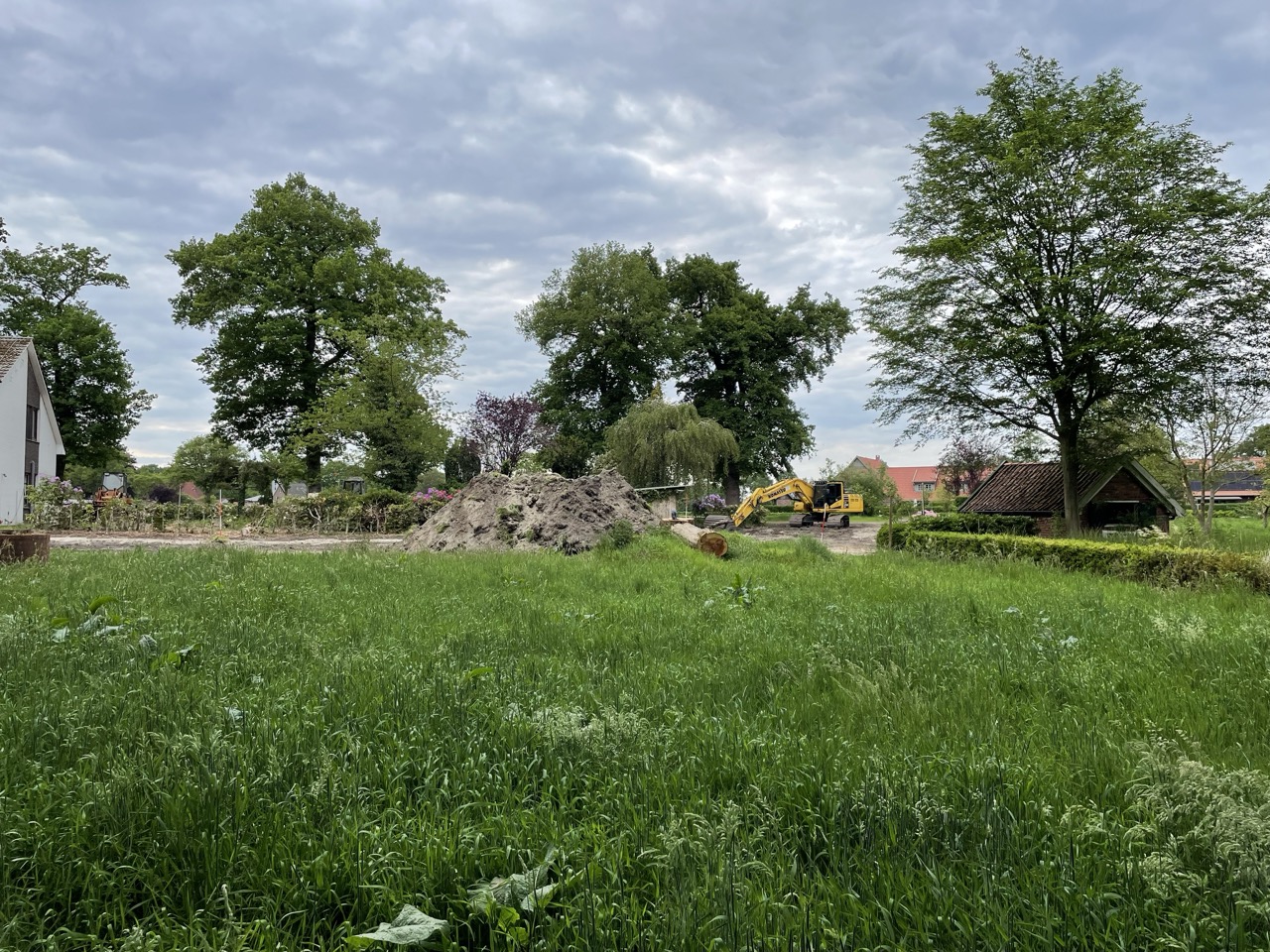 Aufnahmedatum 17.05.2024 Aufnahmedatum 17.05.2024